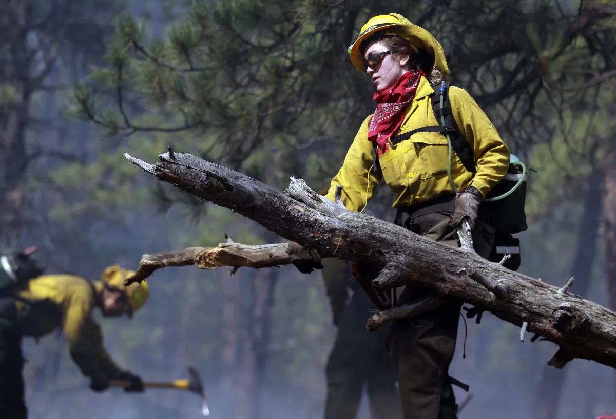 Samantha Marison, an AmeriCorps volunteer firefighter assigned to the El Paso County Sheriff's Office removes down wood fuel to help contain a spot fire in an evacuated area of forest, ranches and residences, in the Black Forest wildfire area, north of Colorado Springs, Colo., on Thursday, June 13, 2013. The blaze in the Black Forest is now the most destructive in Colorado history, surpassing last year's Waldo Canyon fire, which burned 347 homes, killed two people and led to $353 million in insurance claims. (AP Photo/Brennan Linsley)
