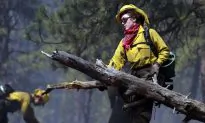 Photos of the Black Forest Wildfire