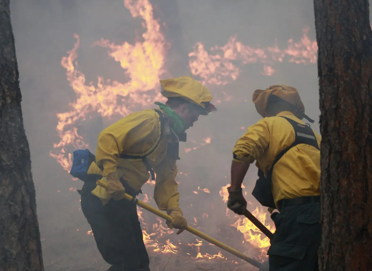 Officers burn off natural ground fuel in an evacuated neighborhood, prepping the area for the encroachment of the wildfire in the Black Forest area north of Colorado Springs, Colo., on June 12, 2013. (Brennan Linsley/AP Photo)