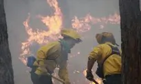 Volunteers Hand Out Water After Colorado Wildfire