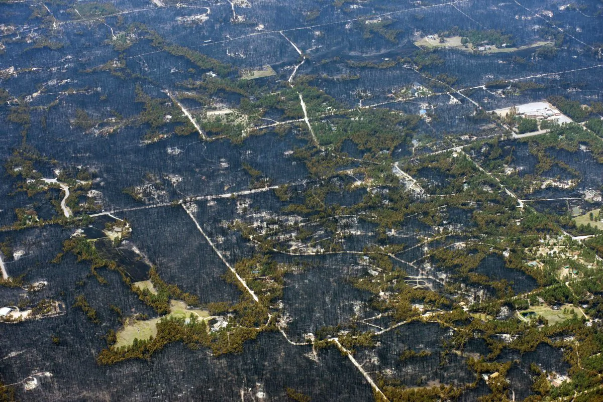 Blackened areas define the path of a wildfire that destroyed some homes and left others untouched in one neighborhood in the densely wooded Black Forest area northeast of Colorado Springs, Colo., Thursday, June 13, 2013.  More than 350 homes have been lost in what is now the most destructive wildfire in Colorado history, surpassing last year's Waldo Canyon fire, which burned 347 homes, killed two people and led to $353 million in insurance claims. (AP Photo/John Wark)