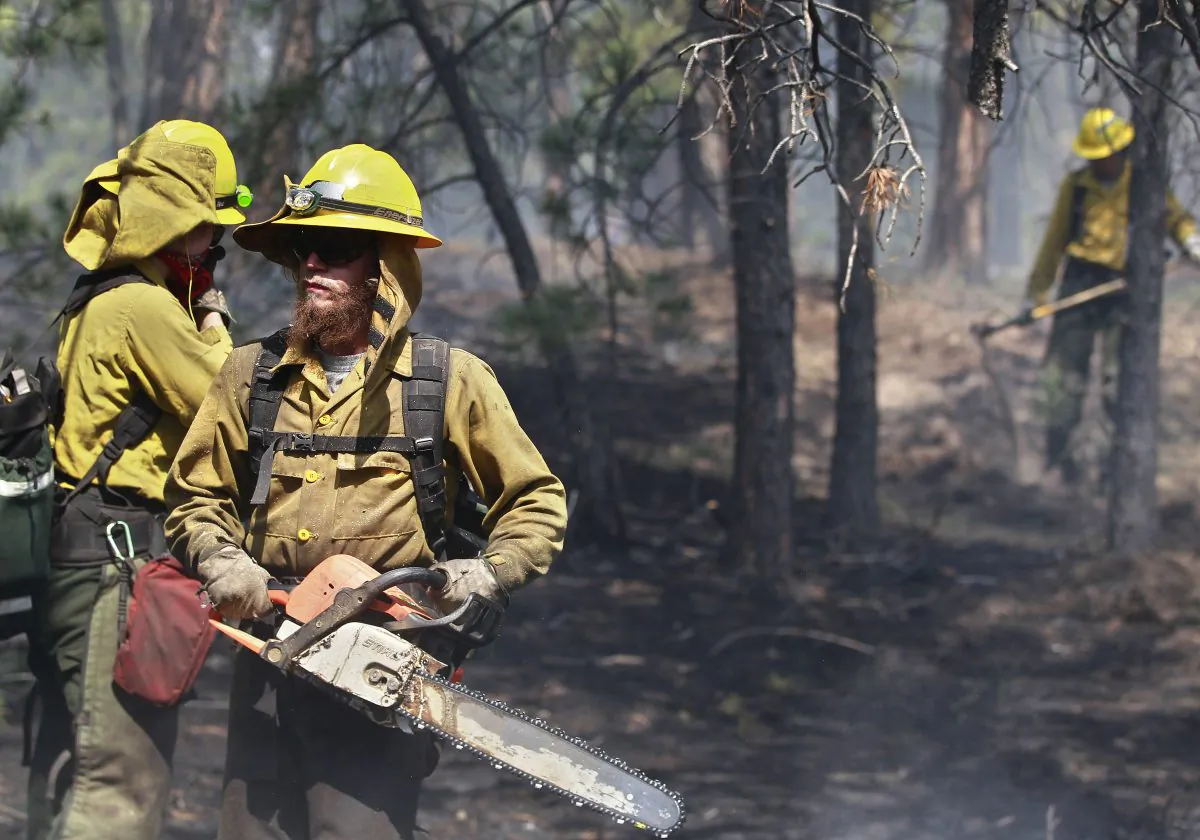 An AmeriCorps volunteer firefighter assigned to the El Paso County Sheriff's Office uses a chainsaw to break up and remove wood fuel to help contain a spot fire in an evacuated area of forest, ranches and residences, in the Black Forest wildfire area, north of Colorado Springs, Colo., on Thursday, June 13, 2013. The blaze in the Black Forest is now the most destructive in Colorado history, surpassing last year's Waldo Canyon fire, which burned 347 homes, killed two people and led to $353 million in insurance claims. (AP Photo/Brennan Linsley)