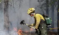 California Plans to Sue Federal Government for ‘Dismantling of AmeriCorps’
