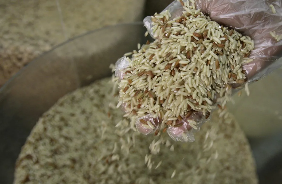Rice at a market in Rio de Janeiro, Brazil, April 24, 2008. A study by Brazilian researchers has found high levels of arsenic in Brazilian rice. (AP Photo/Ricardo Moraes)