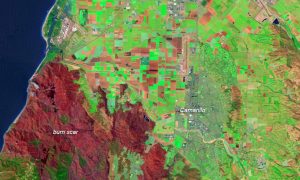 Analyzing California's Burn Scar: NASA's Role Post-Wildfire
