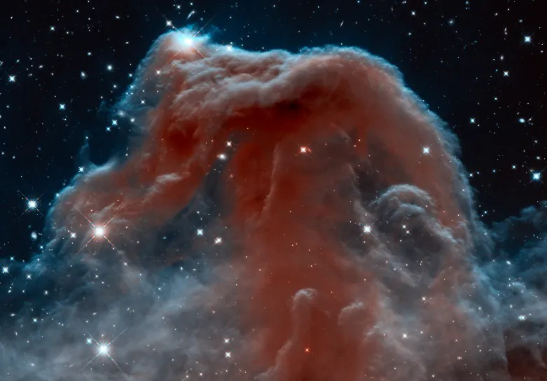 The Horsehead Nebula is shown in a photograph taken through NASA's Hubble Space Telescope. As the industry space tourism and commerce begins, PayPal announced PayPal Galaxy to create an intergalactic payment system. (NASA/ESA/Hubble Heritage Team)