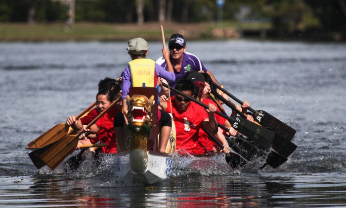 Once a year, the Dragon Boat Festival boat race and multicultural festival celebration is sponsored by the Queensland Hakkas. This year’s festivities were held June 2 at Brisbane Forest Lake, Queensland, Australia.  (Xu Weiliang/The Epoch Times)