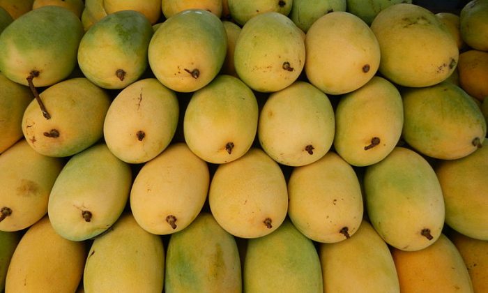Mango Fun: With the arrival of summers, the king of fruits, makes its way in the market with a bang. Apart from its mouth-watering taste, the fruit is known to be a powerhouse of nutrition. (Ramon FVelasquez/Wikimedia Commons) 