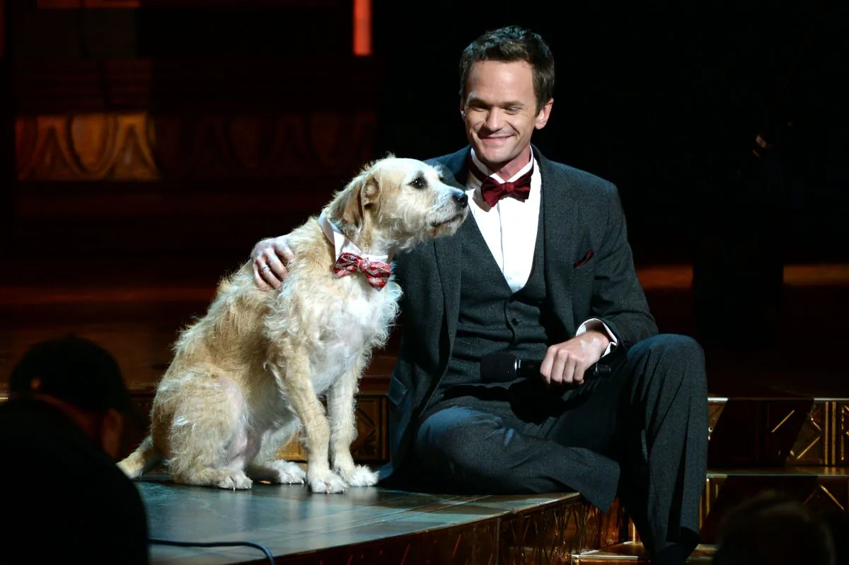 Host Neil Patrick Harris onstage with the canine star of “Annie” at The 67th Annual Tony Awards at Radio City Music Hall in New York City on June 9, 2013. (Andrew H. Walker/Getty Images for Tony Awards Productions)