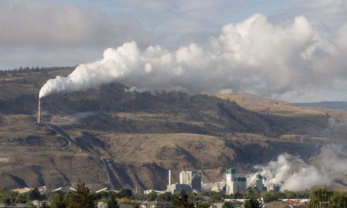 The smokestack from the Domtar pulp mill in Kamloops, B.C. A report by Environmental Defence suggests babies are exposed to chemicals in the womb because pollutants are so pervasive both in the environment and in widely used consumer products. (THE CANADIAN PRESS/Jacques Boissinot)