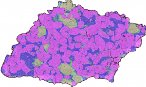 Component of Life Found in Mars Meteorite
