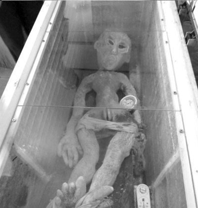 Li Kai displays alien body in icebox, June 8, 2013. (weibo.com) 