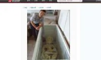 Chinese Man Admits to UFO Hoax After Posting Photos of ‘Alien’