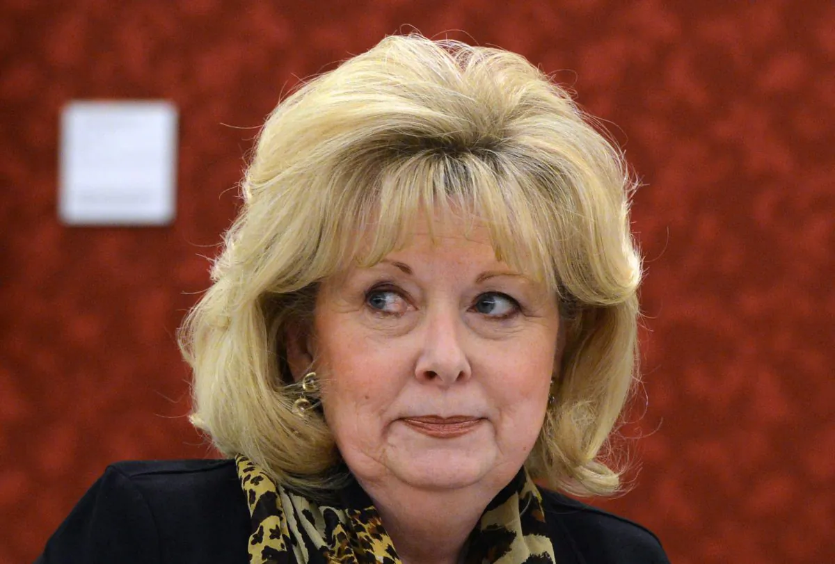 Conservative Sen. Pamela Wallin attends a Senate Committee meeting on Parliament Hill in Ottawa on Feb 28, 2013. The Senate subcommittee that has been reviewing questionable expenses was warned a year-and-a-half ago that there were potential problems with Wallin's travel claims. (THE CANADIAN PRESS/Sean Kilpatrick)