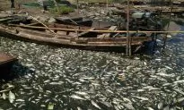 Water Transfer Project Brings Pollution to Northern China