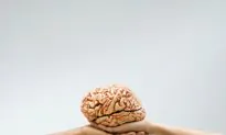 Science of the Brain in UK Education