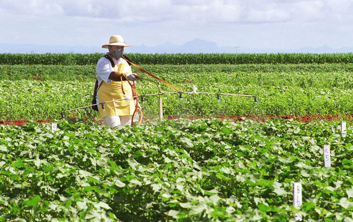 A farmer sprays a transgenic soybean plantation in Mato Grosso do Sul, central Brazil in 2004. Agribusiness consultancy agency Céleres reports that 88.8 percent of soybeans grown in Brazil, many of which are exported around the world, are genetically modified--though the use of GMOs in Brazil is not without critics. (Monalisa Lins/AFP/Getty Images) 