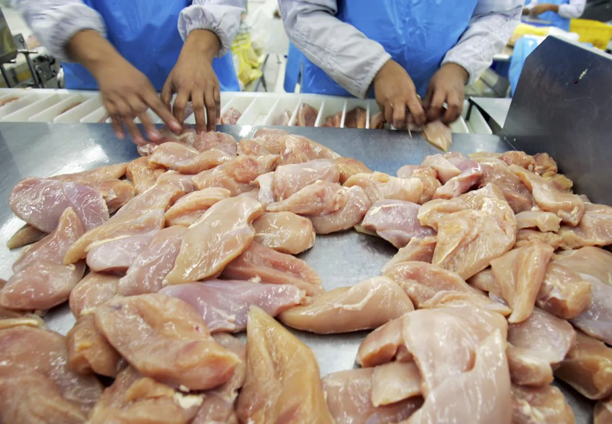 Workers sort chicken breasts at a chicken processing factory in this file photo. Changes in regulation will increase processing speeds at poultry plants in the United States, which may pose a danger to both workers and consumers. (Paula Bronstein/Getty Images)