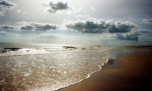 Happiness Research: Quieting the Mind 