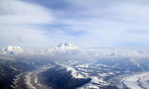 Oil, Animals, Tourism Drive Alaska Economy 