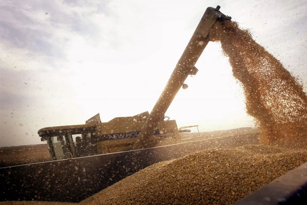 John Shedd loads a container with Bt-corn harvested from his son’s farm near Rockton, Ill., on Oct. 9, 2003. (Scott Olson/Getty Images)