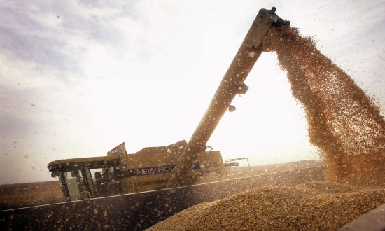 GMOs, A Global Debate: US Leads in GMO Production