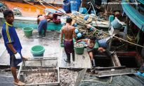 Pirate Fishing a Threat to the World’s Fisheries