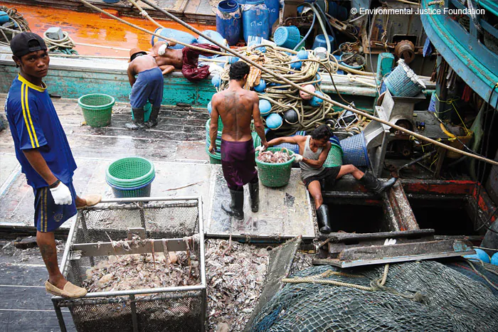 Workers on a Thai fishing boat. A foundation investigating pirate fishing found evidence of human trafficking, labor abuse, and the use of violence in the Thai seafood industry. (Courtesy of Environmental Justice Foundation, www.ejfoundation.org)