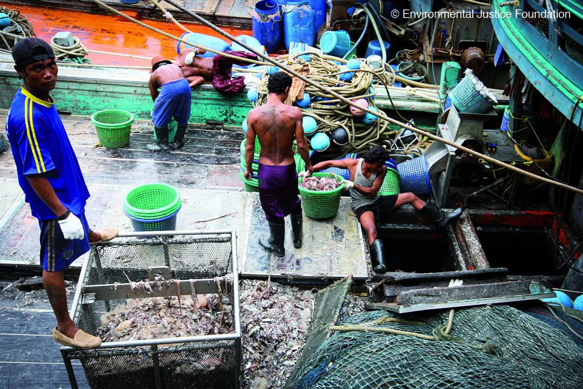 Workers on a Thai fishing boat. A foundation investigating pirate fishing found evidence of human trafficking, labor abuse, and the use of violence in the Thai seafood industry. (Courtesy of Environmental Justice Foundation, www.ejfoundation.org)