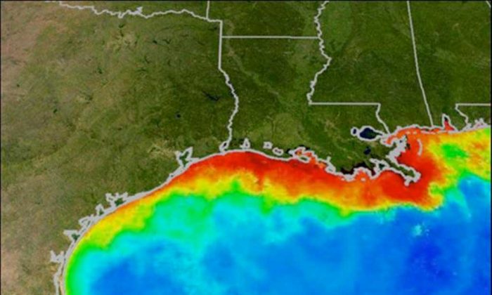 An oxygen-starved hypoxic zone, commonly called a dead zone and shown in red, forms each summer in the Gulf of Mexico. Fish and shellfish either leave the oxygen-depleted waters or die, resulting in losses to commercial and sports fisheries. (NOAA)