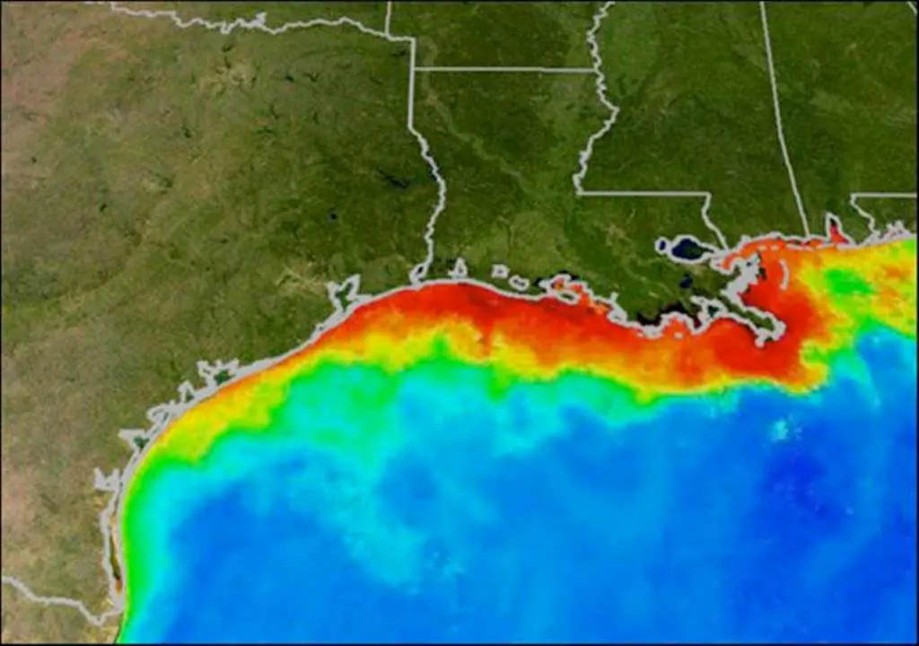 An oxygen-starved hypoxic zone, commonly called a dead zone and shown in red, forms each summer in the Gulf of Mexico. Fish and shellfish either leave the oxygen-depleted waters or die, resulting in losses to commercial and sports fisheries. (NOAA)