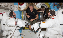 Spacewalk Live-Stream Video