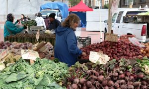 The Rise of Small Farms