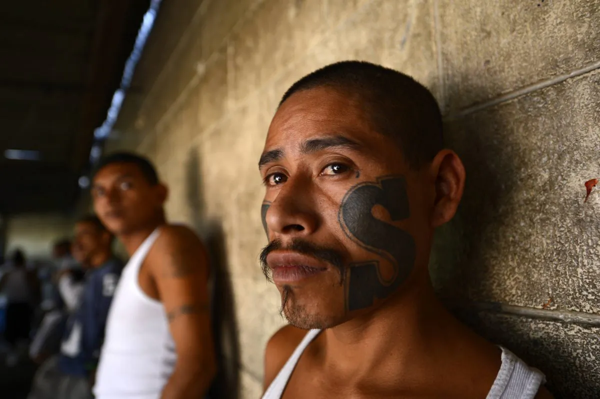 Members of Mara Salvatrucha (MS13), held on Monday, March 4, 2013, in the Criminal Center of Ciudad Barrios in El Salvador. (Marvin RECINOS/AFP/Getty Images)