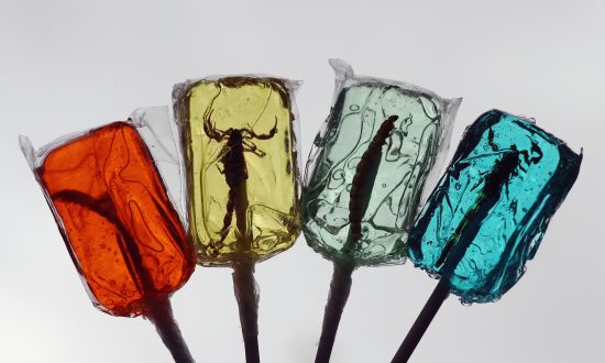 Would Texas Cattlemen Trade Bugs for Beef?