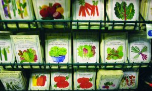 If It’s Not Organic, Don’t Panic