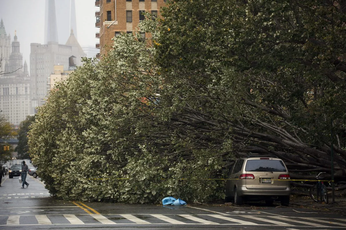 A fallen tree engulfs a vehicle on East Broadway in Lower Manhattan, in the aftermath of superstorm Sandy, in New York City, Oct. 30, 2012. (Louis Lanzano/AP Photo)
