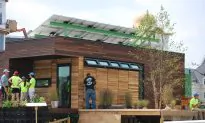 DC University Students Unveil ‘Harvest Home’