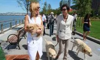 New Lawn and Dog Park Unveiled in Tribeca