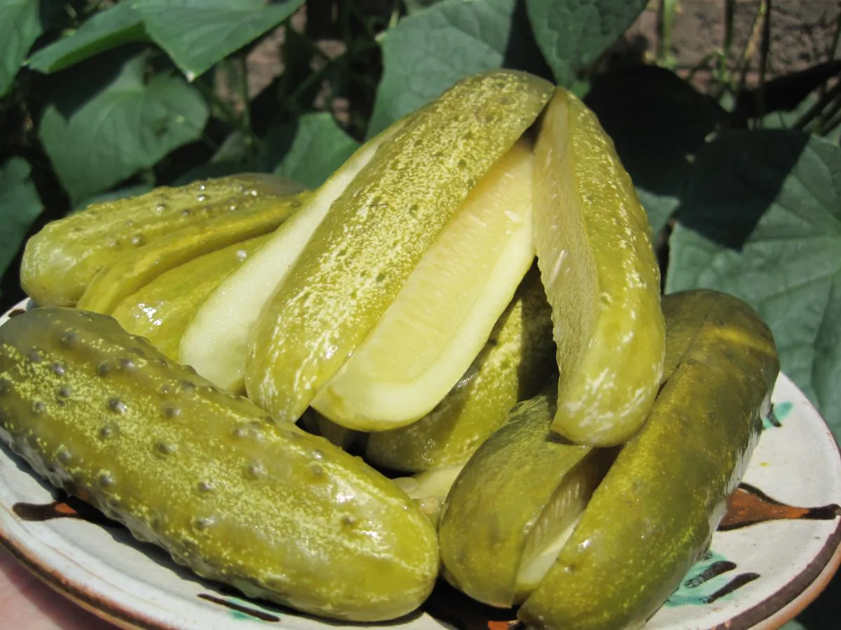 Summer pickled cucumbers. (Maria Matyiku/Epoch Times)