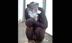 10 of the Craziest Facts Out There, Part 1