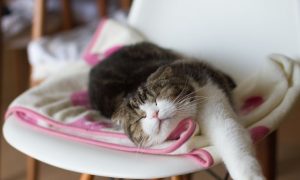 Five Types of Procrastinators