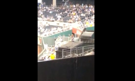 Jessica McCoy: ‘Fountain Mom’ Takes Dip at Royals Game (+Video)