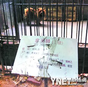 A Barking Lion in a Zoo? Only in China