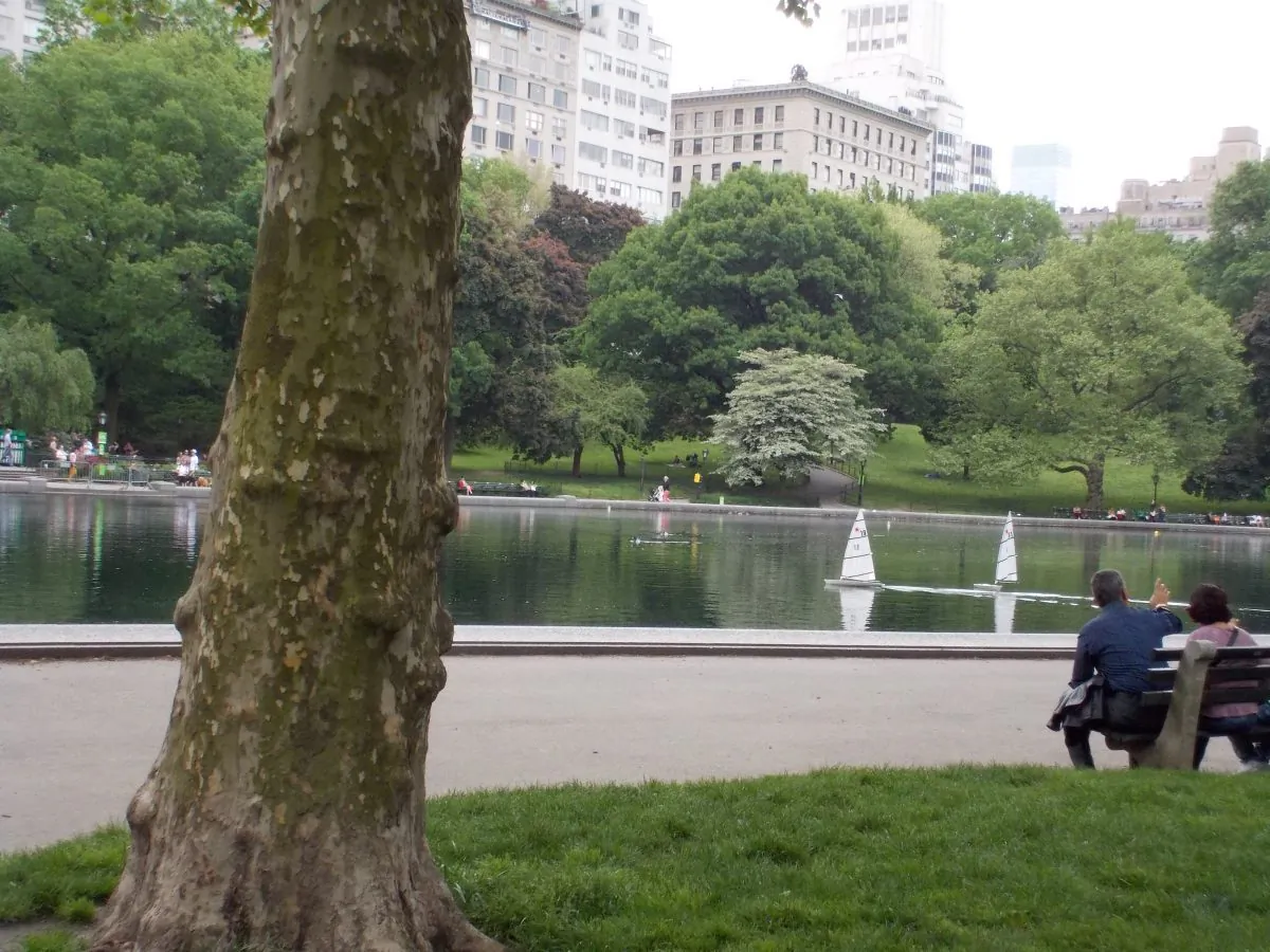 By the pond in Central Park. (Sarah Annalise Hack)