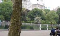 Central Park, Inside and Out