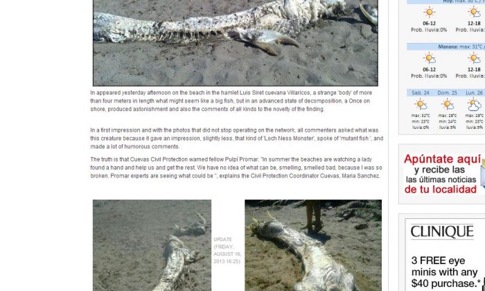 Oarfish, Shark, or Sea Monster? Large Decomposed Carcass Washes up in ...