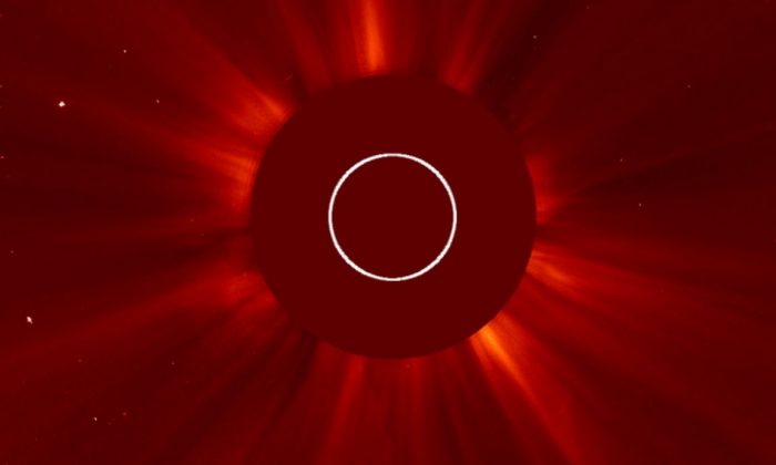 NASA's version of the solar flare. (Screenshot/NASA.gov)