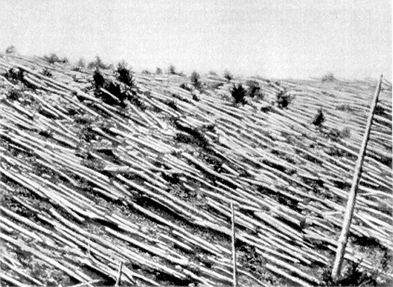Epoch Times Photo