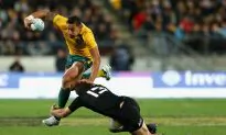 Pressure Mounts on Coaches as Boks and Wallabies Prepare For Brisbane Clash